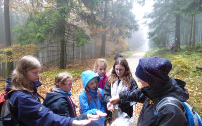 Schrenzerschüler durchwandern mutig das Tal des Nebels